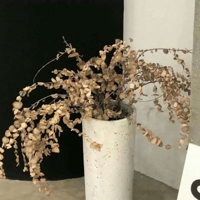 云县福瑞交流群